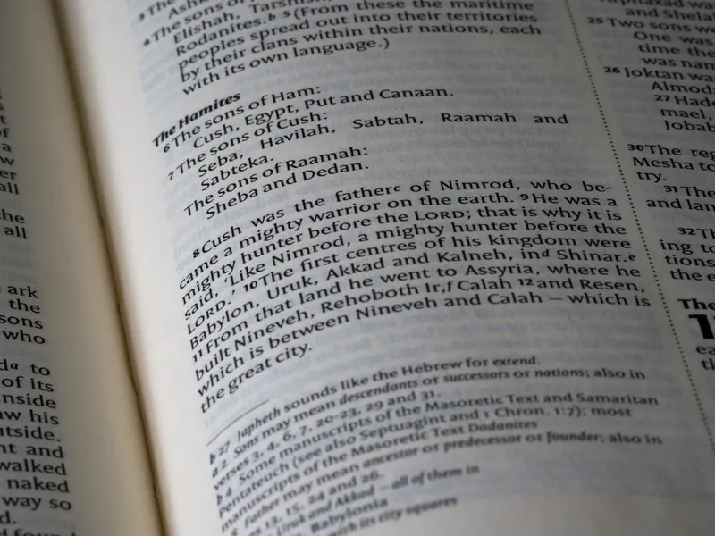 WordBridge Argentina Logo