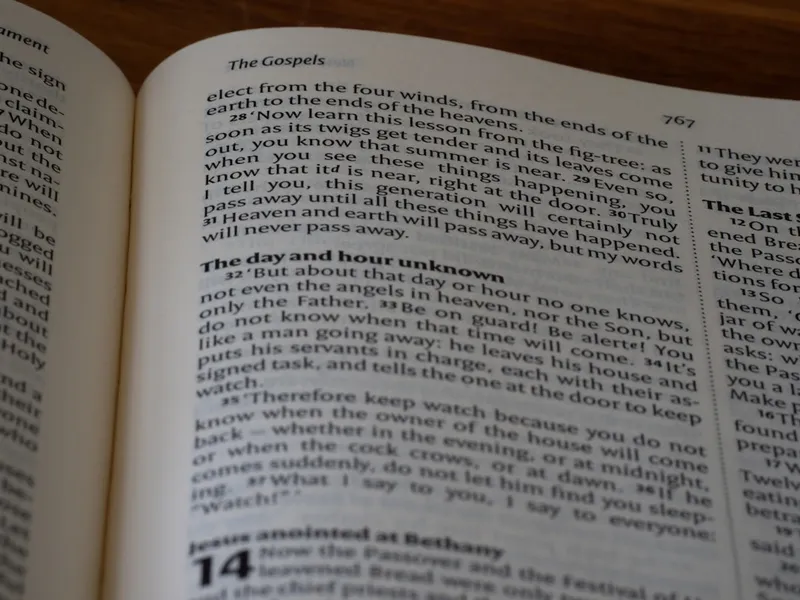 Tutoría personalizada